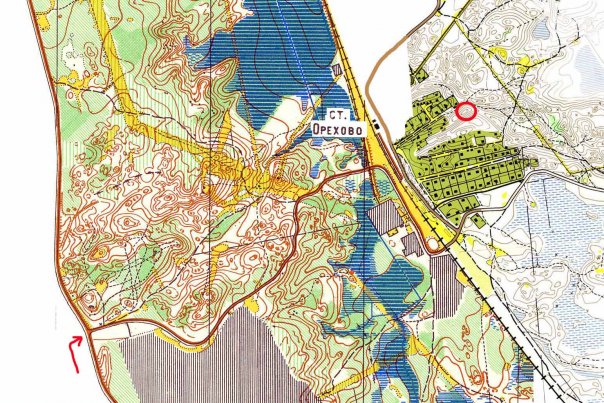 Место рубки буратин 2