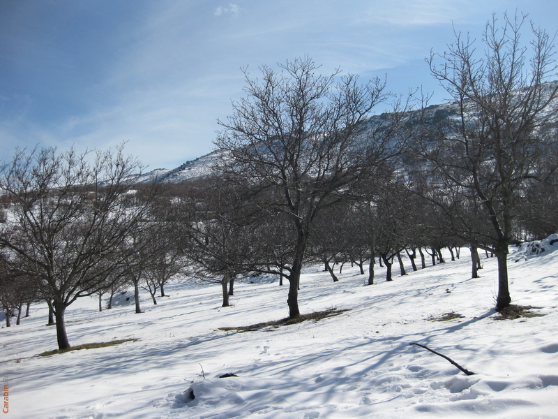 Пробираемся огородами и садами
