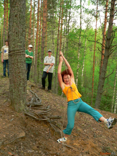 Полоса. Маятник