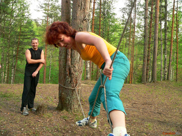 Полоса. Бабочка