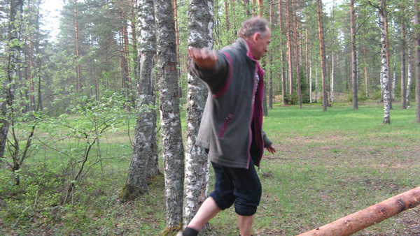 Проверка прочности бревна