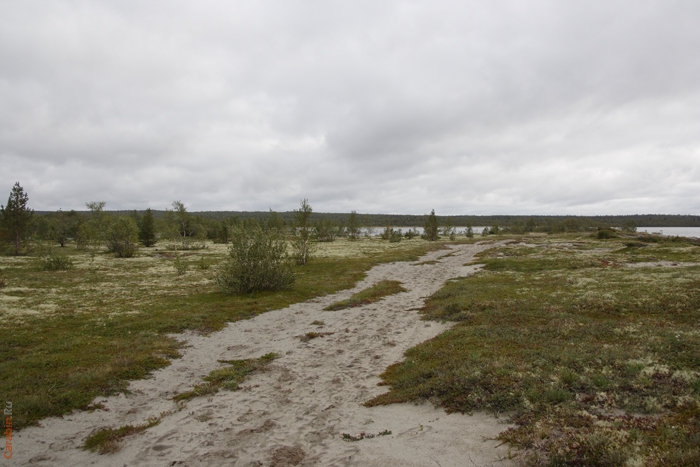 Коса на Умбозере