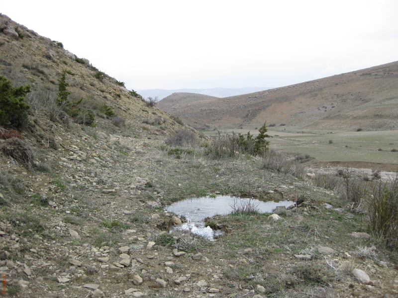 Родник из-под земли