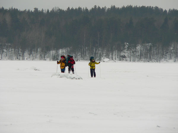 По белому полю