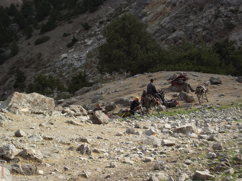 Местный автобан