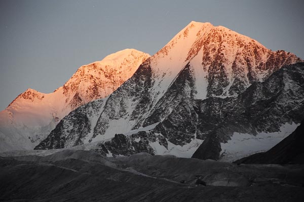 Белухи на рассвете.