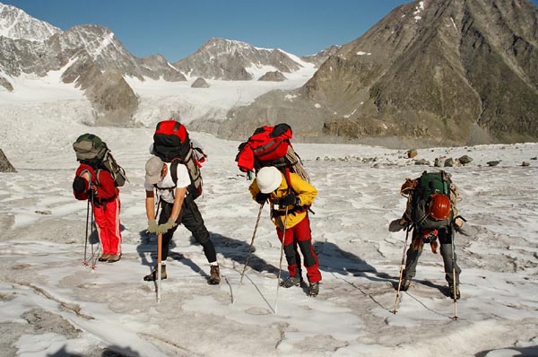 Кони на привале.