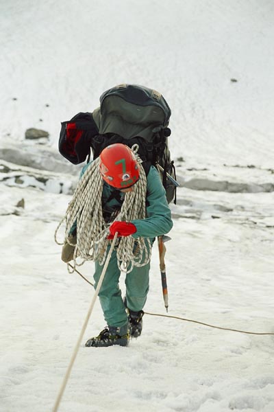 Толокнов и веревка.