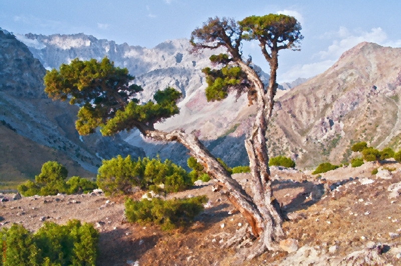 Куликалоны