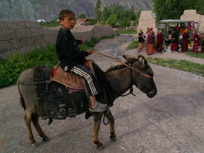 Водитель ишака в кишлаке Мук
