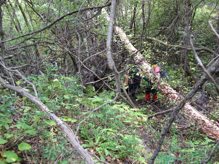 Cпуск к мосту через Сугран