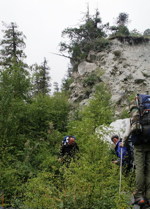 Долина Суграна, реликтовая Березовая роща