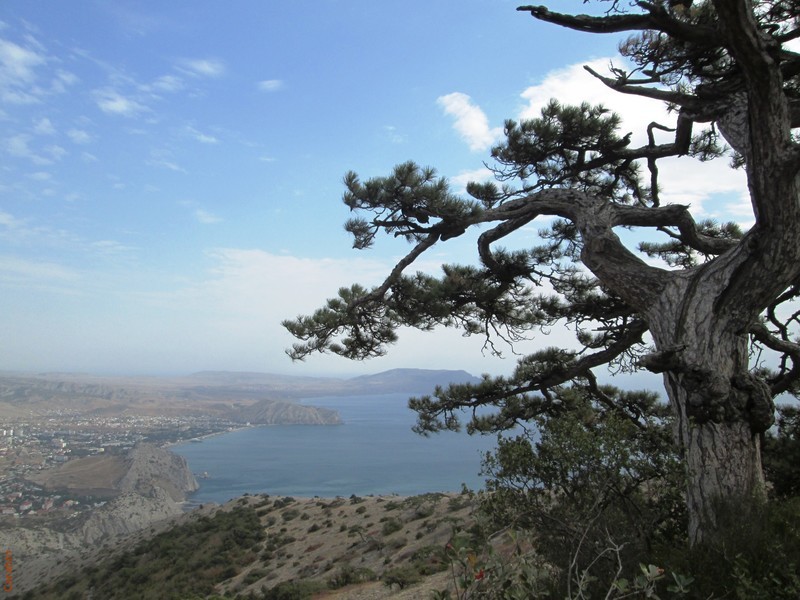 г. Сокол, вид на Судакскую бухту
