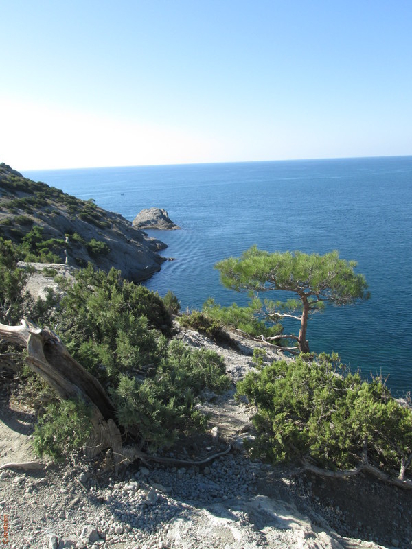 Новый Свет. Тропа Голицына