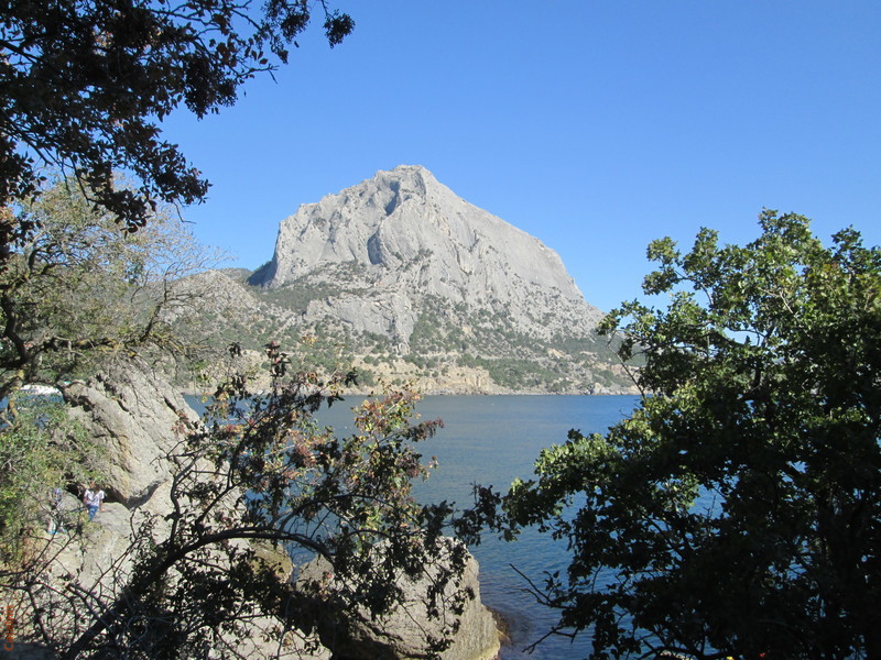 Новый Свет. Фисташковые деревья