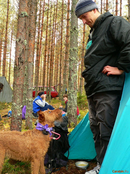 Собачка Люся