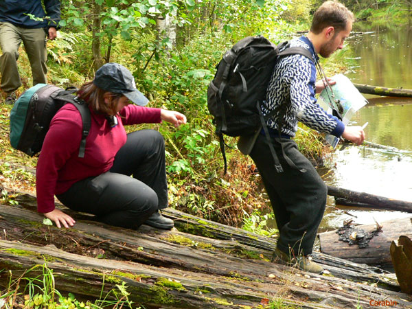Участники КД на дистанции