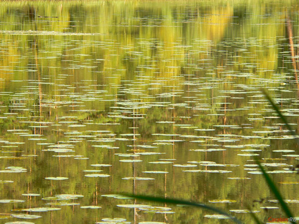 Озеро рядом с промежуточным финишем