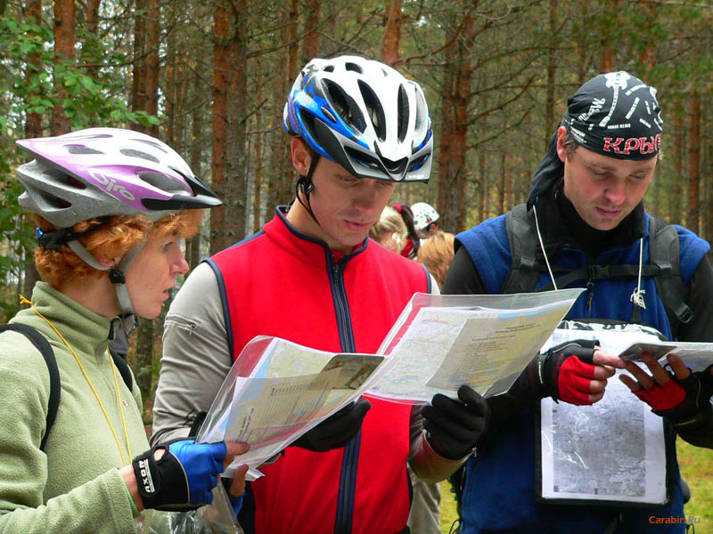 Главное успеть схватить побольше карт!