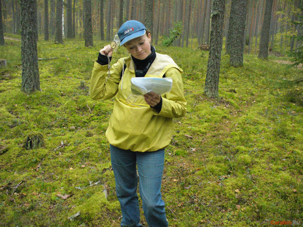 Куда нам дальше?