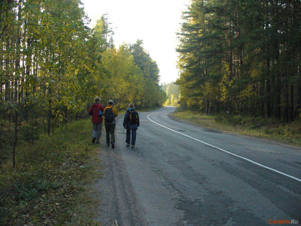 Чудесные дороги