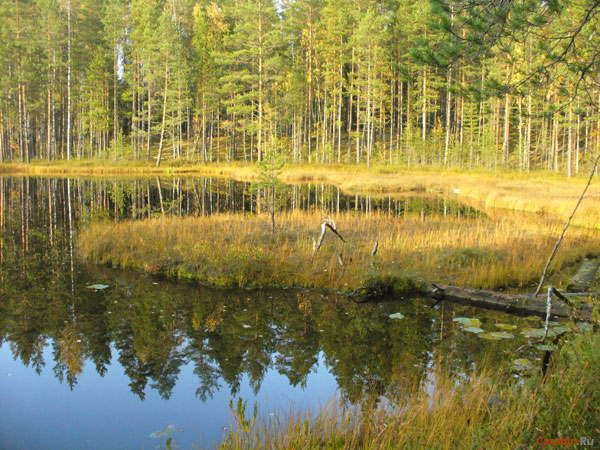 На дистанции Карельского Десанта