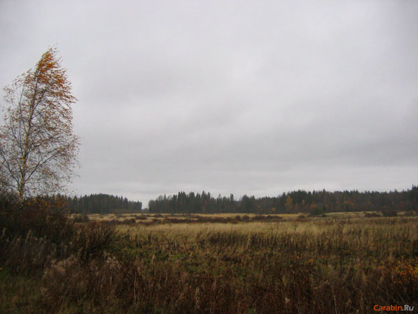 Краски карельского пер...