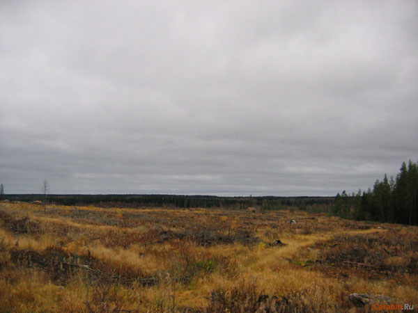 Краски осени 2