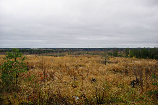 Краски осени 3