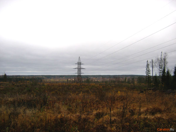 Краски осени 4