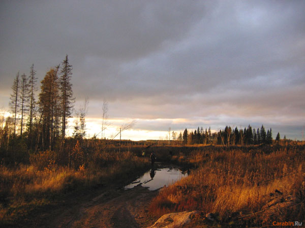 Пешеходнеги