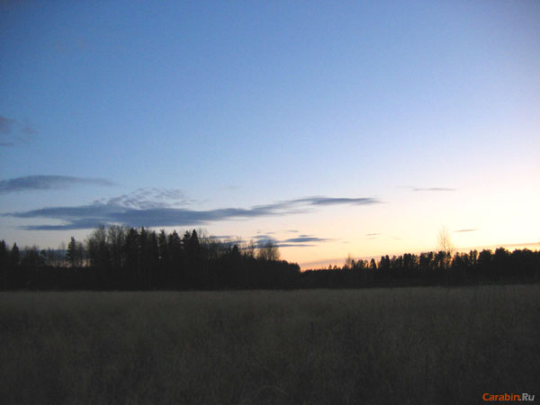 Поле -болото