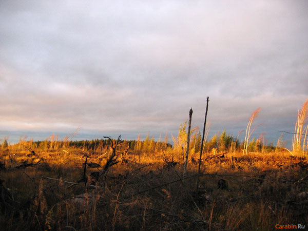 Поля-бурело мы