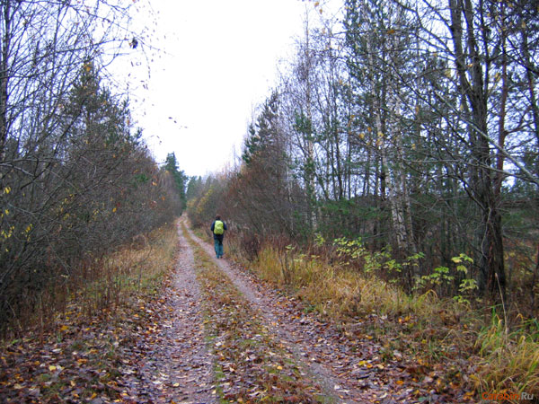 Пути дорожки