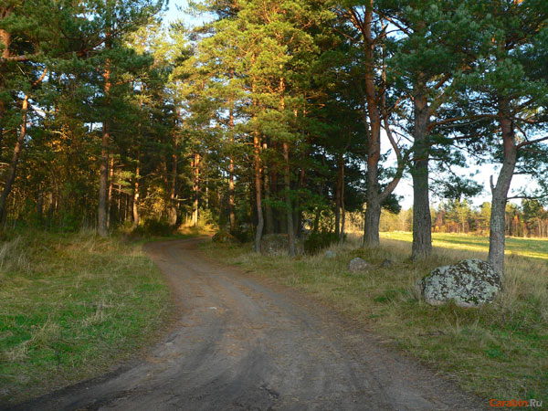 Эх, дороги..