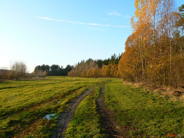 И такие дороги будут