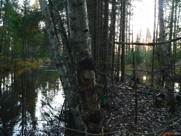 Канавы будут