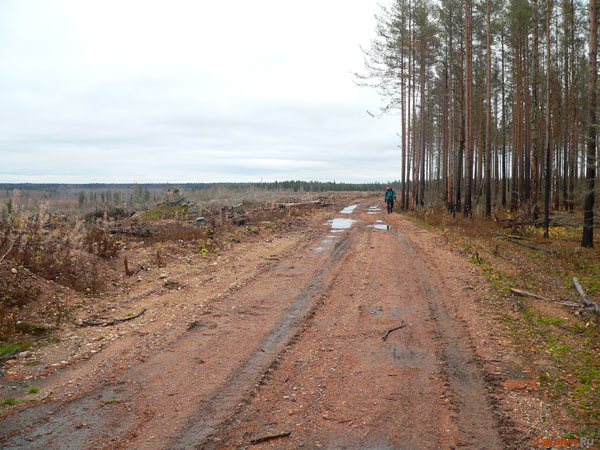 На дистанции