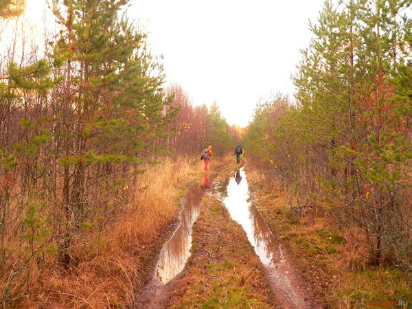 Такие дороги