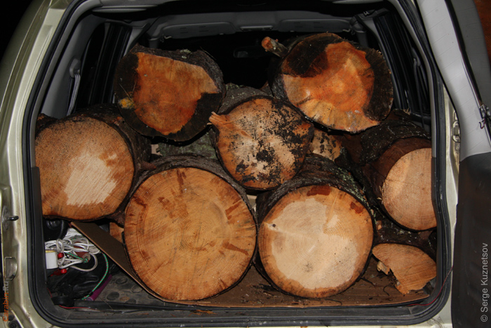 Заготовка дров