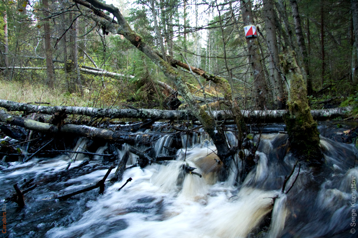 Дистанция КД2009