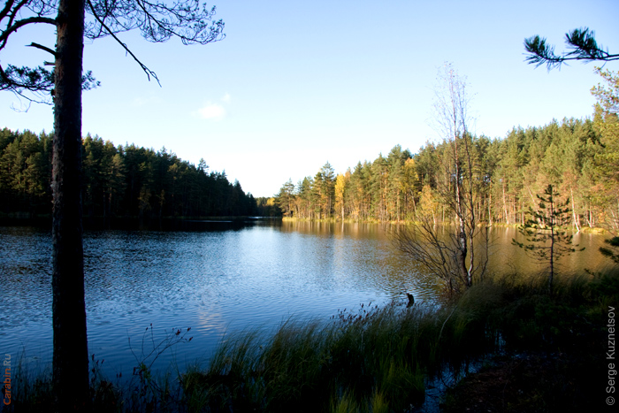 Дистанция КД2009