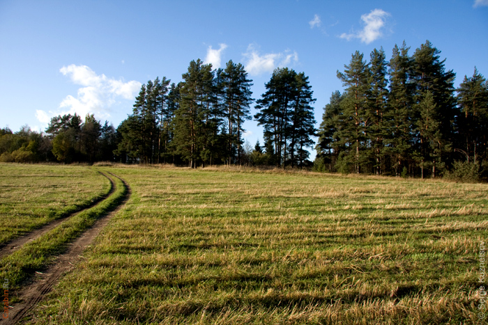 Дистанция КД2009