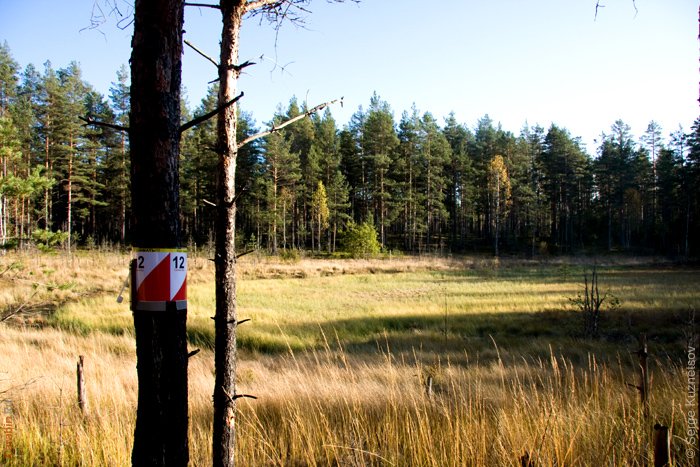 Дистанция КД2009