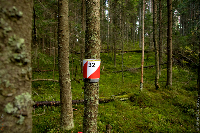 Дистанция КД2009