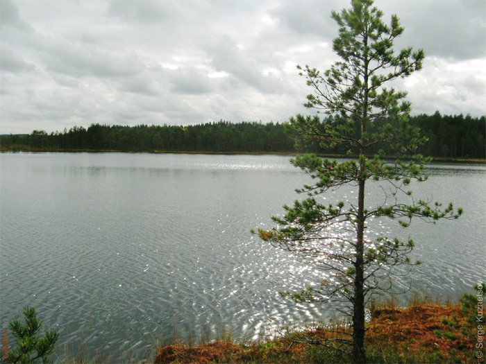 Дистанция КД 2010