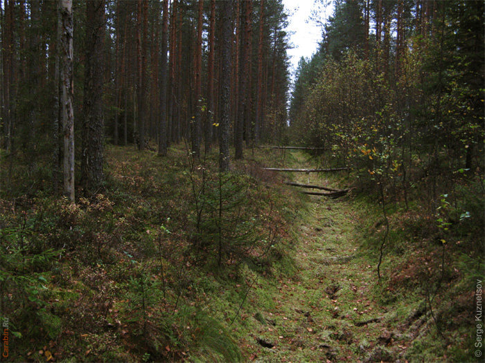 Дистанция КД 2010