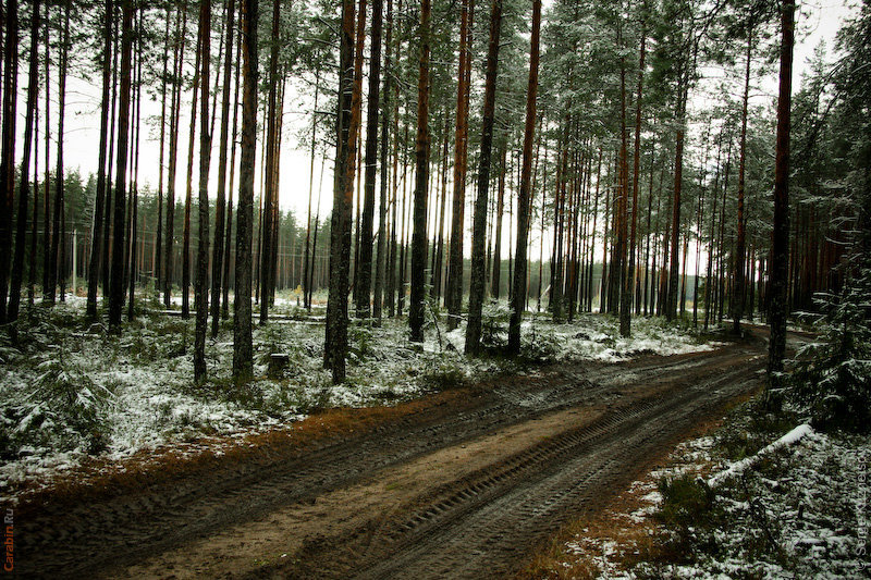 Место старта