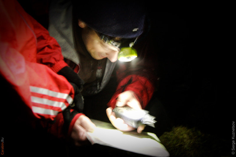 Участники КД2010 на дистанции