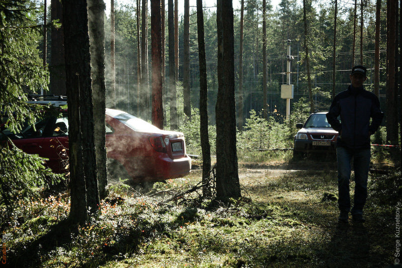 Деревья парят